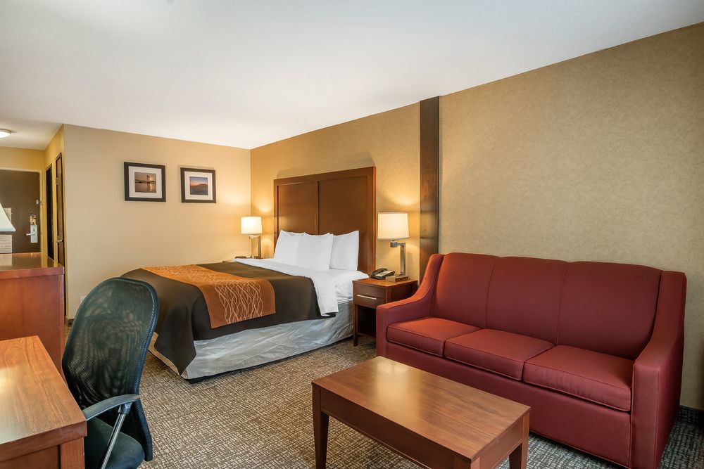 Comfort Inn & Suites Vancouver Downtown City Center Exteriér fotografie